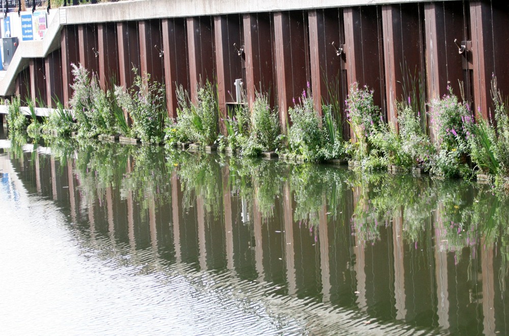 Na: damwand met FLOT-vergroening